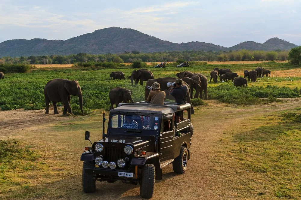 Adventure & Nature Expeditions