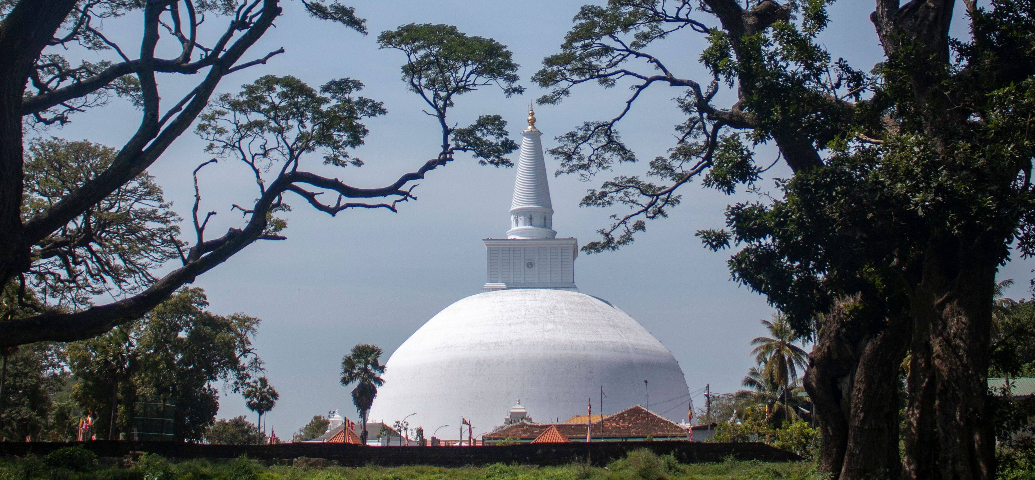 Negombo to Anuradhapura