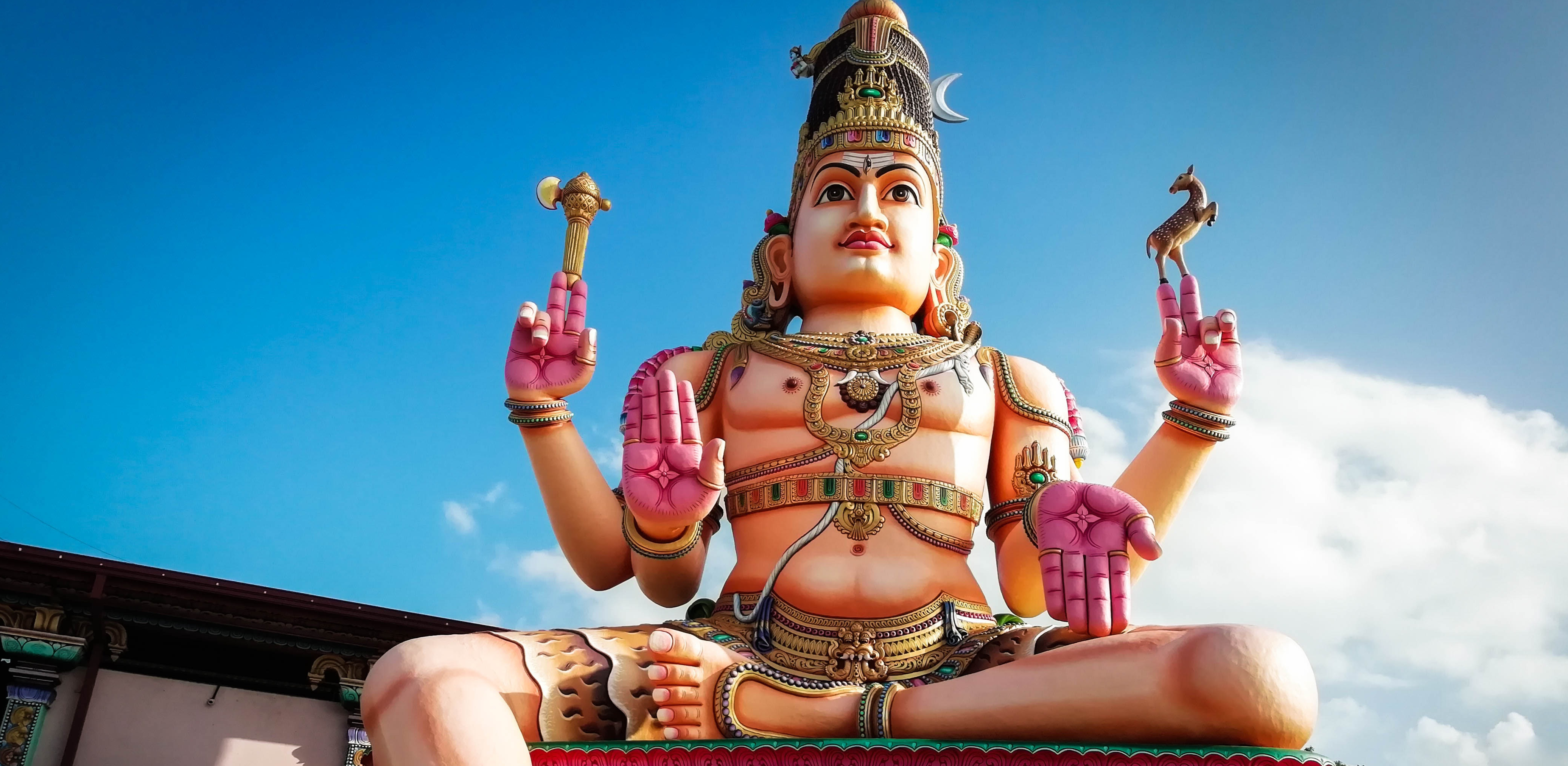 Trincomalee Highlights & Marine Exploration