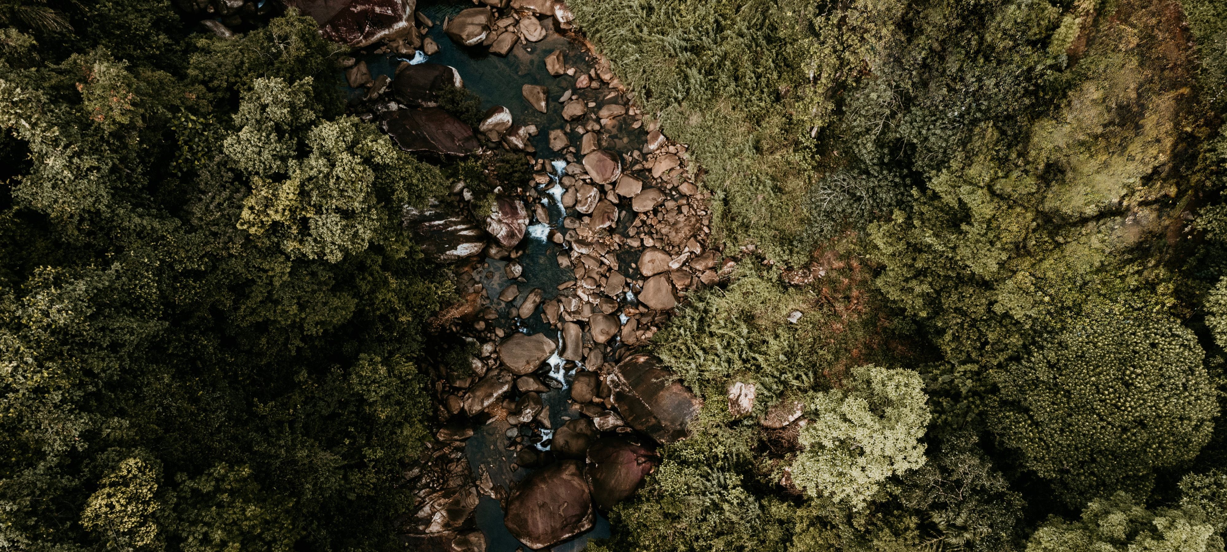 Kitulgala Exploration