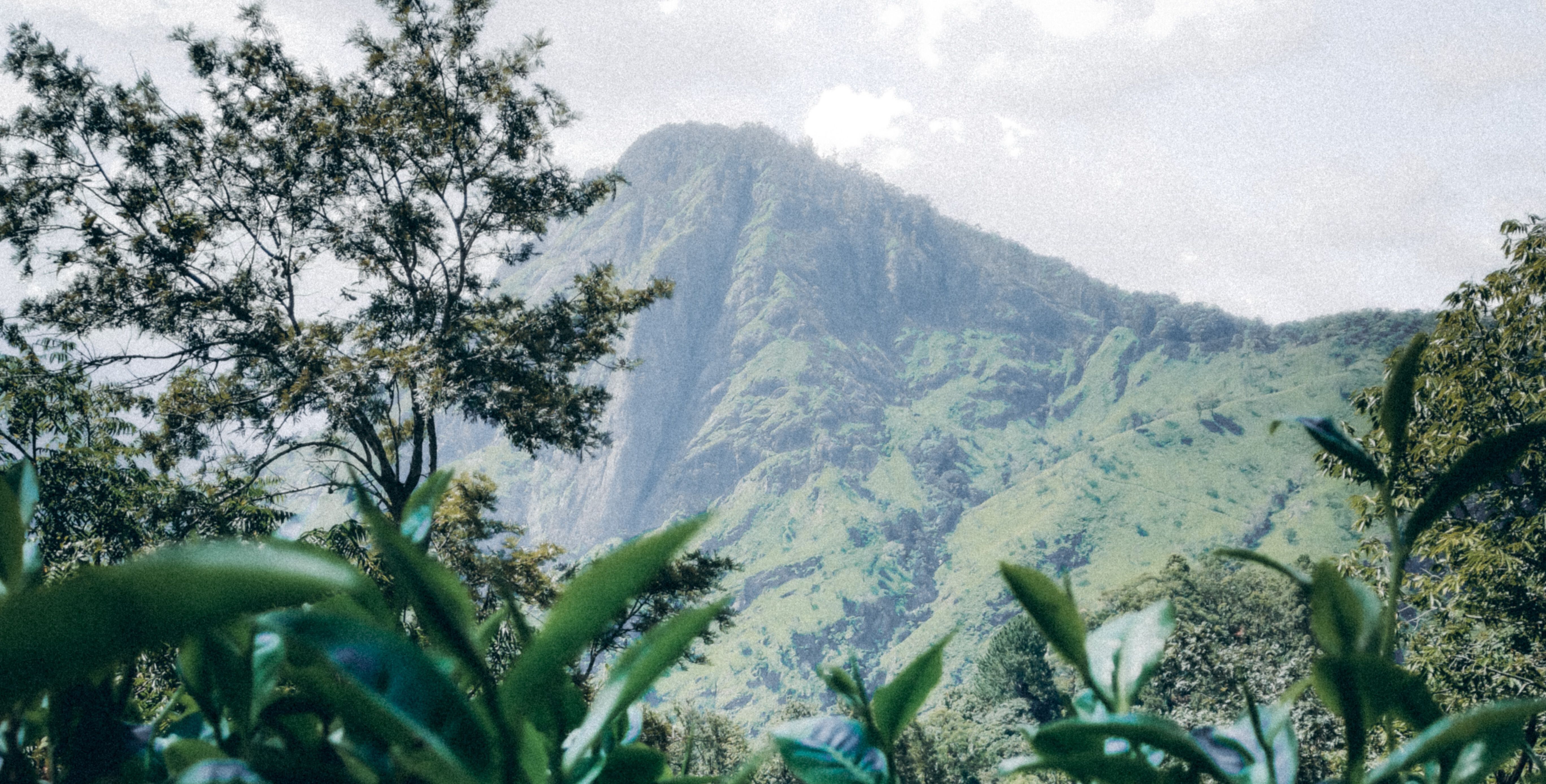 Kandy to Nallathanniya (Adam's Peak Foothills)